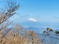 【冬こそ行きたい「伊豆の山」】稜線や断崖の絶景が楽しめる山5選！「天城山・達磨山・金冠山・高通山・烏帽子山」レポートの画像002