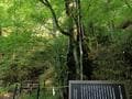 大岩の裂け目巡りで願いが叶う！？  パワースポット「石割神社」から「富士山と山中湖」 絶景を堪能する欲張りハイキング！ 「石割山」登山レポの画像002