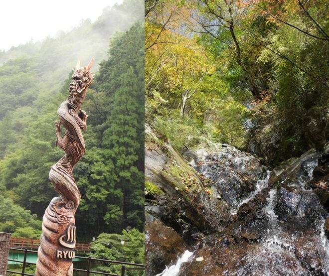 【未来の登山道整備のスタンダード？】「自分たちが使う道は自分たちの手で整備する」 現代の田舎暮らしに必要な “道普請” とは【耕して、焙煎して、走る男　人口2,800人の村に移住してみました vol.13】の画像012