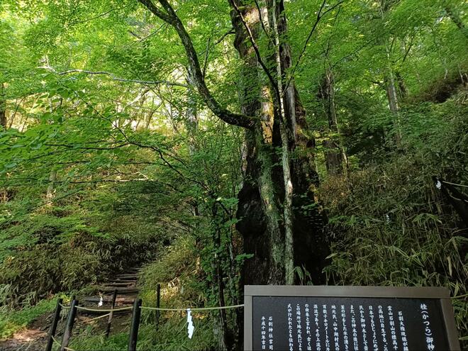 大岩の裂け目巡りで願いが叶う！？  パワースポット「石割神社」から「富士山と山中湖」 絶景を堪能する欲張りハイキング！ 「石割山」登山レポの画像002