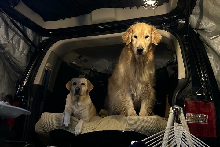 【車中泊】日本初 “海外型モール” って？  話題の施設「ワタワン」はペットにやさしい休日スポットだった！  RVパークにも泊まってみた！ 