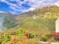 今週末の紅葉見るならどこ？  名所“人気スポット”から最新情報をお届け「WEEKLY紅葉ニュース」【2023年10月第1週】の画像003