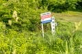 太公望たちが集う「奥只見湖（銀山湖）」の初夏 遡上大物狙いのフライフィッシング！【新潟県魚沼市】の画像006