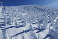 【非日常世界！ ゲレンデのど真ん中に泊まる】霧氷に囲まれた広大な大自然を体感できる「forest inn SANGORO」山形県・蔵王温泉スキー場の画像001