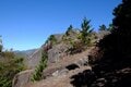 【首都圏近郊】1時間半で登頂できる山梨の隠れ名山「小楢山」紅葉の見頃はもうすぐ！の画像018