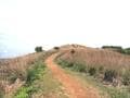 晴れた日には大阪湾まで眺望OK！  北摂山系最高峰「深山」山頂からのパノラマ絶景＆ご神体「深山宮」兵庫県立ささやまの森公園コース「登山レポ」の画像002