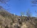 2024年の締めくくりに見たい「富士山＆芦ノ湖」の絶景！  箱根外輪山の一角を歩く、長尾峠から「金時山」ハイキングレポートの画像003