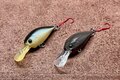 “まさかの理由で釣れる” 庶民の遊び「ハゼ釣り」の新ジャンル「ハゼクラ」とは！？  シーズン中に一度は試したい、初心者OKのルアー釣法！の画像003