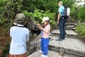 手軽にアクセス！  ファミリーで学べる北アルプスの「快適空間」＜長野県・栂池自然園＞の画像004