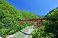 期間限定！ 黒部峡谷鉄道「トロッコ電車」 夏秋の特別イベント！ オリジナルキャラ “またにゃん” のヘッドマーク列車「特別記念きっぷ」登場【富山県黒部市】の画像010