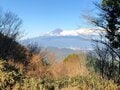 奇跡の現象「霜の花」がお出迎え！  初心者でも楽しめる静岡県「竜爪山ハイキング」山頂からの駿河湾と富士山の絶景とは？の画像003