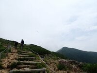 【北海道の山】花の名山として知られる日高「アポイ岳」は、夏の登山も魅力的！ 2025年・北海道