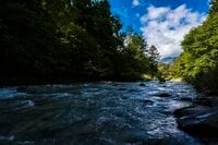 【渓流釣り】ついにこの日がやってきた！  東奔西走「最終日の渓流でフライを忘れて右往左往」 長野県・2025年