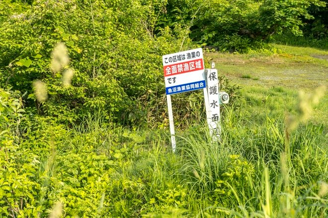 太公望たちが集う「奥只見湖（銀山湖）」の初夏 遡上大物狙いのフライフィッシング！【新潟県魚沼市】の画像006