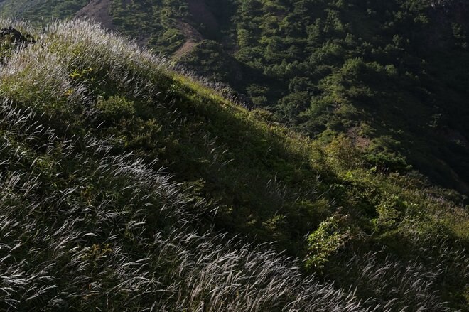 1時間で登れる「日本百名山」那須岳の花はすっかり「秋の気配」の画像009