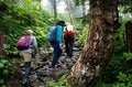 【山形県米沢市・天元台高原】吾妻連峰の百名山「西吾妻山」は ”天空のお花の宝庫”　入山には「天元台スキー場」のロープウェイ利用が最適！の画像004
