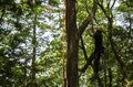 「ロープワークでの木登り」体験！ 先生と道具のおかげ？ 意外と簡単でした “森と本気で遊ぶ”2日間【後編】長野県伊那市の画像010