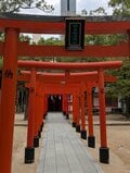 湊川神社で楠木正成について学びおみくじ中吉の意外な内容に崩れ落ちる【関西おみくじジャーニー vol.27／兵庫県神戸市】の画像004