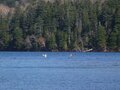 はじめての北海道「トラウトフィッシング」には「阿寒湖」が最適なワケ！　「15年間現地通い」ライターが解説する秋の「荒食いレインボー」釣りの魅力の画像001