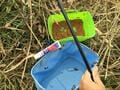 近所の小川で気軽に釣れる＆食べて美味しい！  秋冬の「オイカワ」は10月中旬からが狙いめ！  ポイント・仕掛け・釣法から調理まで解説の画像003