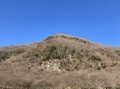 【見ごろ2月から】4,000本の梅が彩る「幕山公園・梅の宴」＆2時間半のハイキング「幕山」早春の絶景レポ！【神奈川県足柄下郡湯河原町】の画像002
