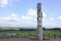 カラフルに染まる、夏の北海道！  年間100万人が訪れる「ラベンダー畑」と「富良野・美瑛」の絶景スポット！  森林浴＆散策で満喫の画像003