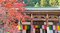 伊豆箱根鉄道の終着駅名でも「検索しても見つからない山」の謎！ 600年の歴史と天狗伝説の「大雄山最乗寺」参拝リポートの画像005
