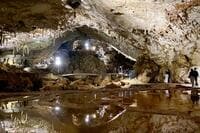 気分は冒険家！  山口県・秋芳洞「地下100m」日本屈指の「洞窟探検」と猛獣を間近で観られる「体験型サファリランド」の黄金ルートを紹介