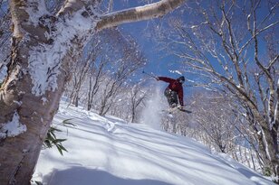 「かぐら、舞子」など首都圏から “アクセス抜群” の湯沢エリア、「斑尾、タングラム、シャルマン」など豪雪がもたらす “パウダーフリークの聖地” の信越エリア【ツリーランが滑れる全国スキー場ガイド vol.3  湯沢・信越 編】