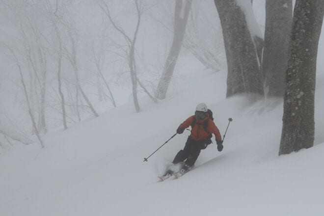 “おとぎの国”に迷い込んだような静かなブナの森を行く「のんびりバックカントリーツアー」 JAPOWを楽しむ！【長野県鍋倉山】2026年の画像010