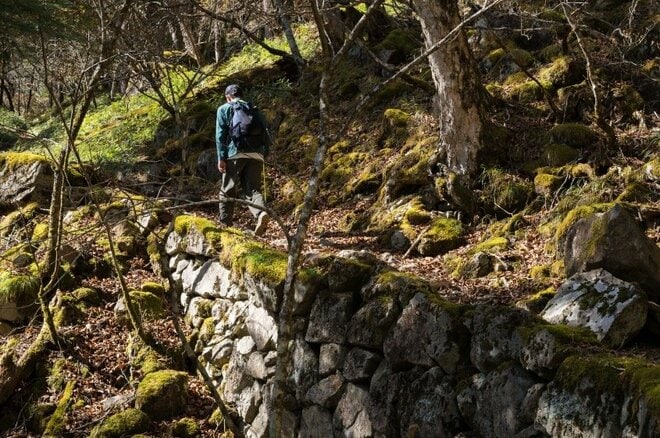 【首都圏近郊ハイキング】日帰りでもしっかり歩ける穴場「牛の寝通り」で紅葉大満喫の画像010
