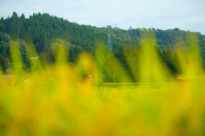【絶景】“夏と秋の狭間、山里の美景”  田園パッチワークの眺めが見事！ 「山本山」 新潟県小千谷市｜2026年の画像005
