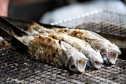 【絶景・ソト遊び・グルメ＆宿】白馬バレーはレジャーがてんこ盛り！  豊かな自然を生かしたロケーションで多種多様なアクティビティ体験をの画像049