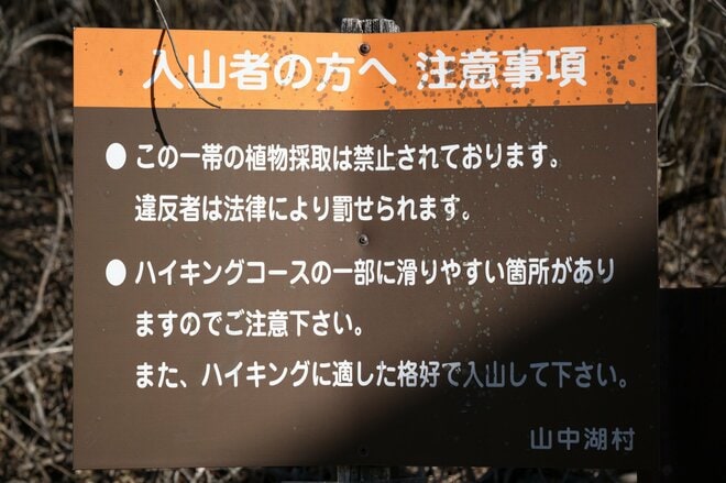 【首都圏近郊で3月末に登るなら】富士山の大展望台「三国山（鉄砲木ノ頭）」がおすすめなわけの画像008