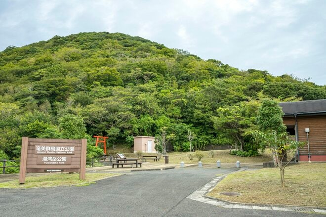 【鹿児島県】憧れのフラットシャロー！  フライフィッシングと昆虫観察、トレッキングを満喫した「奄美大島」トリップ   2025年の画像008