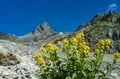 【登山の疑問】「どれくらいの時間で登れるの？」「休憩はいつ？」《コースタイム》と《休憩》について考える  2022年の画像003