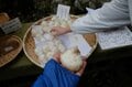 ＜4月末の御岳山レポート＞都心からすぐ。苔むした岩が美しい新緑のロックガーデン～宿坊ランチで異空間へ小トリップ！の画像008