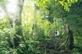 【登山】 “夏と秋、雨と晴れの狭間で揺れ動く景色” ワンチャンあるか！？ 「浅草岳」へ　新潟県魚沼市｜2026年の画像004