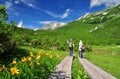 「つがいけマウンテンリゾート」グリーンシーズン営業開始！  北アルプスの絶景と高層湿原が広がる「栂池自然園」へ【長野県小谷村】の画像004