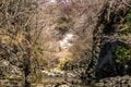 『渡良瀬川』桜咲く川辺にカゲロウ舞う季節！ 癒しのお花見フィッシング【渓流釣り】群馬県の画像007