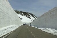雪の多い今年こそ見たい、初夏の絶景！「八幡平アスピーテライン」 ドラゴンアイだけじゃもったいない！  展望ドライブスポット3選「現地レポ」