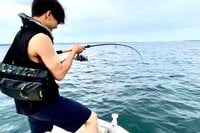 「夏から秋」が本格シーズン「バツグンの釣り心地」で食べても美味い！  人気急上昇「サワラキャスティング」攻略のためのキーポイント