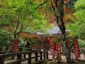 低山でも「360度パノラマ」絶景！  兵庫県丹波市「石金山」紅葉の名所「小新屋観音」から、清涼感あふれる「源流＆青もみじ」2時間ハイキングの画像010