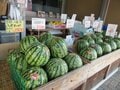 「意外！ 魚沼の焼肉といえばコレ」 尾瀬や奥只見観光の帰りに立ち寄りたい「道の駅 ゆのたに」で見つけた地元グルメ！【新潟県魚沼市】の画像003