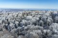 「ブナの森に咲く雪の花」が美しすぎるとSNSで話題！  標高差789ｍを最新型ゴンドラで「霧氷の世界」へ！  信州・野沢温泉スキー場【2021・初冬】の画像002