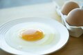 標高1,100mの農場で鶏を“平飼い”放牧！ 本当においしい卵は心身ともに健康で元気な鶏から産まれる！「やまなしアニマルウェルフェア認証制度」取材ルポ【山梨県 2022】の画像003
