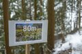  雪のなかじっと春を待つ黄色い妖精！ 「幸せを招く」フクジュソウの群落へ・2022年3月下旬【長野県】の画像005