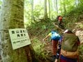 【親子旅】新潟と長野をつなぐ「塩の道」美しいブナ林で時の流れを感じたの画像004