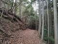 【不思議で怖い「山の体験談」】ほんの「登山者の挨拶」がまさかの「憑依＆慟哭」事態に発展！？ 月夜の林道「白襦袢の女性」との奇異な交流とは！の画像001