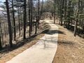 【話題の写真映えスポット】対角線上に並ぶ富士山と河口湖の絶景！「FUJIYAMAツインテラス」へのバスが運行開始！  2022年・山梨県の画像003